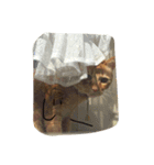 しあわせとねこ（個別スタンプ：3）