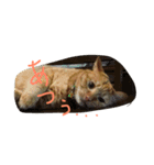 しあわせとねこ（個別スタンプ：5）