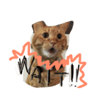 しあわせとねこ（個別スタンプ：7）