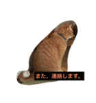 しあわせとねこ（個別スタンプ：8）