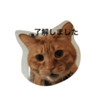 しあわせとねこ（個別スタンプ：9）