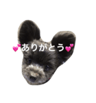 ポメプーのくぅちゃんDESU（個別スタンプ：13）
