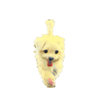 DOG ！！！(Shiba Inu, Poodle , Maltese)（個別スタンプ：3）