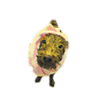 DOG ！！！(Shiba Inu, Poodle , Maltese)（個別スタンプ：5）