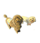 DOG ！！！(Shiba Inu, Poodle , Maltese)（個別スタンプ：7）