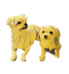 DOG ！！！(Shiba Inu, Poodle , Maltese)（個別スタンプ：11）