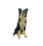 DOG ！！！(Shiba Inu, Poodle , Maltese)（個別スタンプ：19）