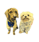 DOG ！！！(Shiba Inu, Poodle , Maltese)（個別スタンプ：21）