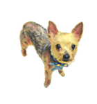 DOG ！！！(Shiba Inu, Poodle , Maltese)（個別スタンプ：23）