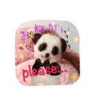 Funny sweet days（個別スタンプ：8）