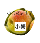 小梅専用スタンプ（個別スタンプ：1）