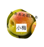 小梅専用スタンプ（個別スタンプ：2）