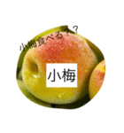 小梅専用スタンプ（個別スタンプ：3）