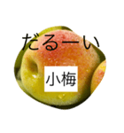 小梅専用スタンプ（個別スタンプ：4）