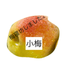 小梅専用スタンプ（個別スタンプ：5）