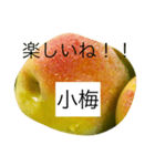 小梅専用スタンプ（個別スタンプ：6）