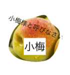 小梅専用スタンプ（個別スタンプ：7）