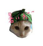 ハムスケ＆みるく…（個別スタンプ：2）