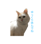 ハムスケ＆みるく…（個別スタンプ：5）