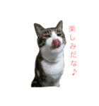 ハムスケ＆みるく…（個別スタンプ：6）