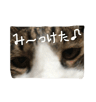 ハムスケ＆みるく…（個別スタンプ：8）