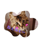 みーころ（個別スタンプ：7）