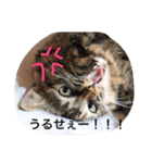 みーころ（個別スタンプ：8）