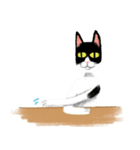 Cats are hard to communicate（個別スタンプ：3）