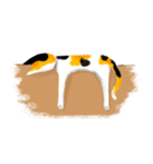 Cats are hard to communicate（個別スタンプ：6）