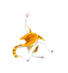 Cats are hard to communicate（個別スタンプ：7）