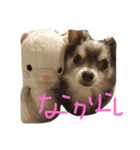 みみちゃん2（個別スタンプ：3）