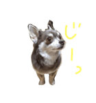 みみちゃん2（個別スタンプ：5）