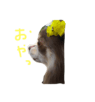 みみちゃん2（個別スタンプ：8）