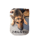くーたんとルークのスタンプ（個別スタンプ：17）