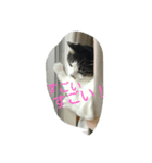 はなちゃんシリーズ（個別スタンプ：7）