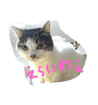 はなちゃんシリーズ（個別スタンプ：8）