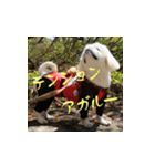 ベリザベス妄想記 by ペキニーズ（個別スタンプ：24）
