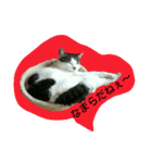 だらけはなちゃん（個別スタンプ：1）
