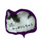 だらけはなちゃん（個別スタンプ：2）