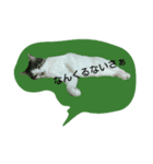 だらけはなちゃん（個別スタンプ：4）