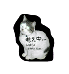 だらけはなちゃん（個別スタンプ：5）