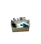 だらけはなちゃん（個別スタンプ：8）