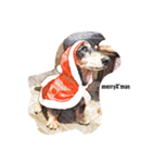 愛犬日記 るうくん（個別スタンプ：2）