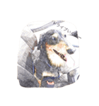 愛犬日記 るうくん（個別スタンプ：7）