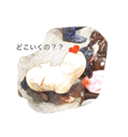 愛犬日記 るうくん（個別スタンプ：12）