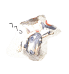 愛犬日記 るうくん（個別スタンプ：23）