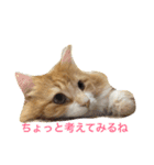ウルスタンプ（個別スタンプ：1）