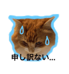 ウルスタンプ（個別スタンプ：4）