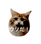 ウルスタンプ（個別スタンプ：10）