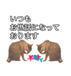 茶トラ猫ガットくん2（個別スタンプ：10）